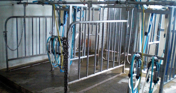 Dairy Farm Cleaning Milking System
